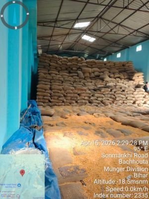 Water Damaged Stock of Maize